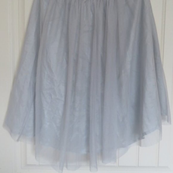 ZARA Basics Pearl Grey Tulle Skirt with Lining Small (K329) - Picture 3 of 5